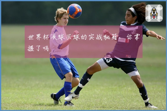 世界杯滚球买球的实战秘籍,你掌握了吗