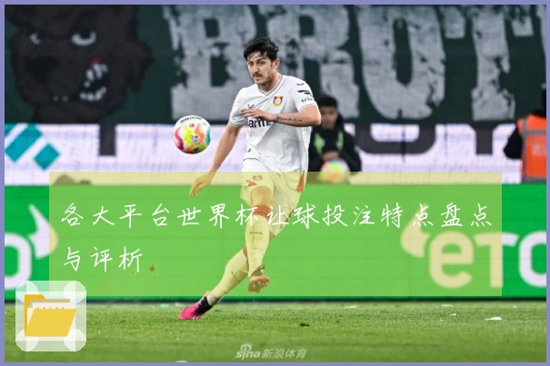 各大平台世界杯让球投注特点盘点与评析