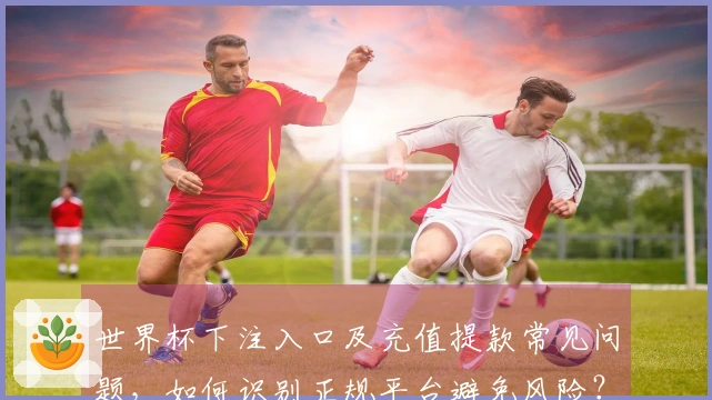 世界杯下注入口及充值提款常见问题，如何识别正规平台避免风险？