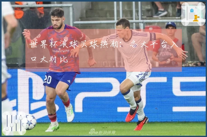 世界杯滚球买球热潮：各大平台入口大对比